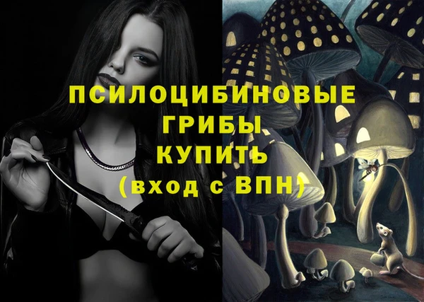 твердый Алексеевка
