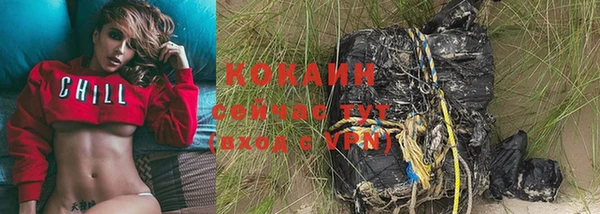 дживик Абаза