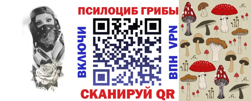 МЕГА зеркало Краснокамск Псилоцибиновые грибы Cubensis где можно купить наркотик