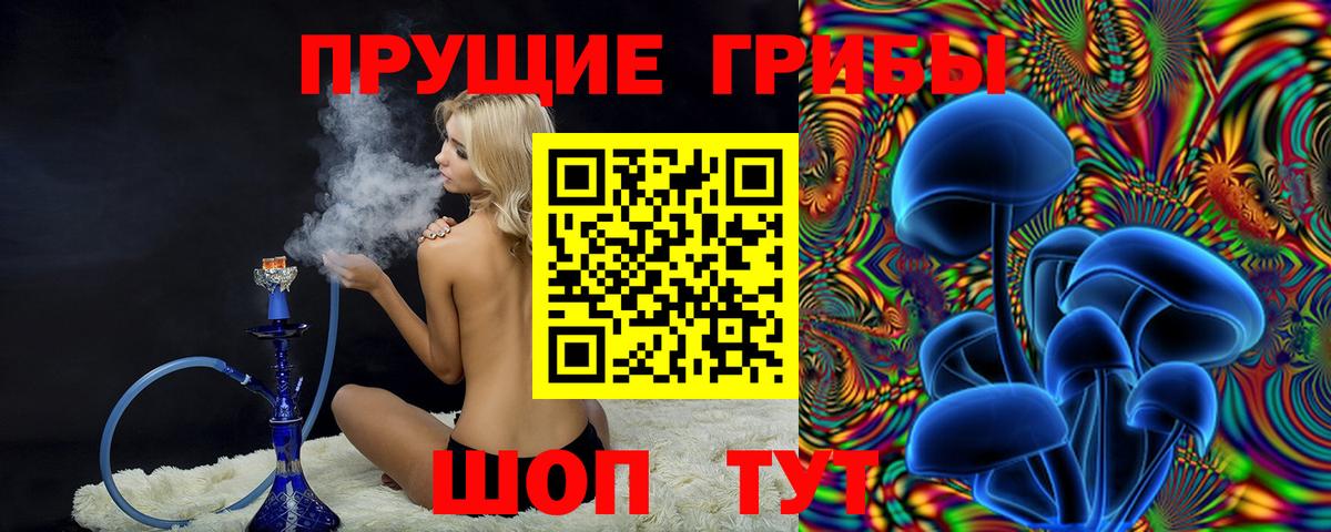 Краснокамск  Галлюциногенные грибы Psilocybine cubensis  Вход с VPN 